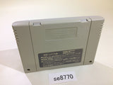 The Chessmaster SNES Super Famicom Japan - SE8770