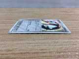 CC3603 Registeel Steel	 - PROMO 100/PCG-P Pokemon Card TCG Japan