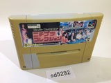 Nichibutsu Collection 1 Hanafuda Casino Bar SNES Super Famicom Japan - SD5292