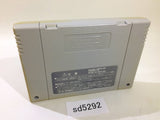 Nichibutsu Collection 1 Hanafuda Casino Bar SNES Super Famicom Japan - SD5292