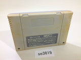 Super Nichibutsu Mahjong SNES Super Famicom Japan - SE3819