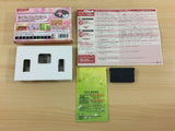 UC8121 Wagamama Fairy Mirumo de Pon! Yume no Kakera BOXED GameBoy Advance Japan