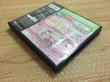 FG2392 Hello Kitty Oshare Party Sanrio Character Zukan BOXED Nintendo DS Japan