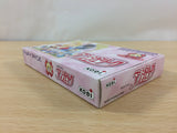 Angelique BOXED GameBoy Advance Japan - UC2279