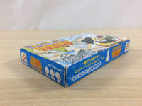 UD7700 RAVE BOXED GameBoy Advance Japan