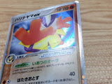 CC4424 Hariyama ex Fighting Rare Holo ex PCG2 049/082 Pokemon Card TCG Japan