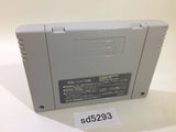 Mahjong Hisshou Den Naki no Ryuu SNES Super Famicom Japan - SD5293