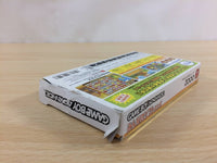 UD1343 Zooo Action Puzzle Game BOXED GameBoy Advance Japan