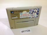 DaiBakushou Jinsei Gekijou Zukkoke SalaryMan SNES Super Famicom Japan - SH1128