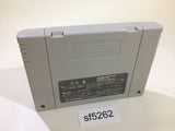 Theme Park SNES Super Famicom Japan - SF5262