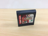 J.League Soccer Dream Eleven Sega Game Gear Japan - UB4744