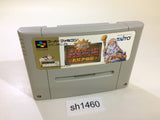 Dai Bakushou Jinsei Gekijou Ooedo Nikki SNES Super Famicom Japan - SH1460