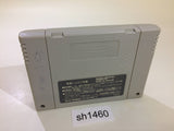 Dai Bakushou Jinsei Gekijou Ooedo Nikki SNES Super Famicom Japan - SH1460