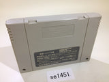 Super Wrestle Angels Pro Wrestling SNES Super Famicom Japan - SE1451