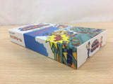 Pipe Dream Mania BOXED SNES Super Famicom Japan - UC2976