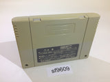 Dynamite The Las Vegas SNES Super Famicom Japan - SF9609