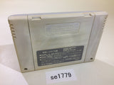 F1 Grand Prix Racing SNES Super Famicom Japan - SE1779
