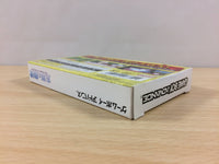 ub1709 Melody of Oblivion Boukyaku no Senritsu BOXED GameBoy Advance Japan
