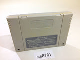 Super Fire Pro Wrestling SNES Super Famicom Japan - SE8781