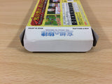 ub1709 Melody of Oblivion Boukyaku no Senritsu BOXED GameBoy Advance Japan
