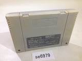 David Crane's Amazing Tennis SNES Super Famicom Japan - SE6979