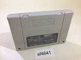 Zen Nippon Pro Wrestling Fight da Pon SNES Super Famicom Japan - SF4641