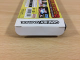 ub1709 Melody of Oblivion Boukyaku no Senritsu BOXED GameBoy Advance Japan