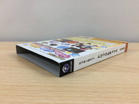 dg3987 Disney's Hide & Sneak Mickey & Minnie Trick & Chase BOXED GameCube Japan