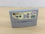 Heisei Shin Onigashima Kouhen BOXED SNES Super Famicom Japan - UB8504