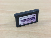 UC6257 Harukanaru Toki no Naka de BOXED GameBoy Advance Japan
