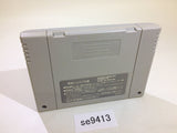 Dynamite The Las Vegas SNES Super Famicom Japan - SE9413