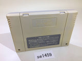 Hat Trick Hero Football Champ Euro Champ 92 SNES Super Famicom Japan - SE1459