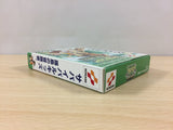 Survival Kids Kotou no Boukensha BOXED GameBoy Game Boy Japan - UB1844