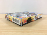 DF4606 Arc The Lad BOXED Wonder Swan Bandai Japan