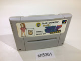 Nichibutsu Mahjong 2 Zenkoku Seiha Hen SNES Super Famicom Japan - SH5361