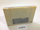 F1 Grand Prix Racing SNES Super Famicom Japan - SE3833