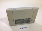 Nichibutsu Mahjong 2 Zenkoku Seiha Hen SNES Super Famicom Japan - SH5361