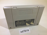 Super Family Tennis SNES Super Famicom Japan - SD7814