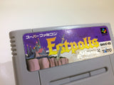 Estpolis Denki Lufia SNES Super Famicom Japan - SF4647