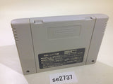 Nakajima Satoru Kanshuu F1 Hero 94 SNES Super Famicom Japan - SE2737