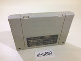 Super Zugan 2 Tsukanpo Fighter Mahjong SNES Super Famicom Japan - SH5680