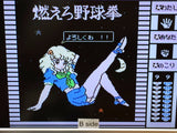 Emi Chan No Moero Yakyuuken Famicom Disk Japan - DH8991