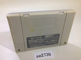 F1 Grand Prix Racing SNES Super Famicom Japan - SE2739