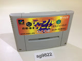 Table Game Daisyugo! Shogi Mahjong Hanafuda SNES Super Famicom Japan - SG9822