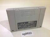 Table Game Daisyugo! Shogi Mahjong Hanafuda SNES Super Famicom Japan - SG9822