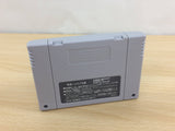 Wizap! Ankoku no Ou BOXED SNES Super Famicom Japan - UB8908