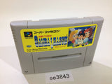 Hakunetsu Pro Yakyuu Ganba League Baseball SNES Super Famicom Japan - SE3843
