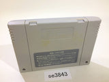 Hakunetsu Pro Yakyuu Ganba League Baseball SNES Super Famicom Japan - SE3843