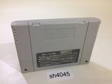 Umi Tsuri Meijin Suzuki Hen Umizuri Fishing SNES Super Famicom Japan - SH4045