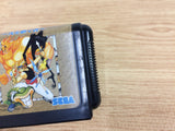 Story of Thor Hikari o Tsugumono Mega Drive Genesis Japan - DH5115